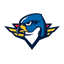 Springfield Thunderbirds