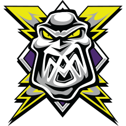 Manchester Storm